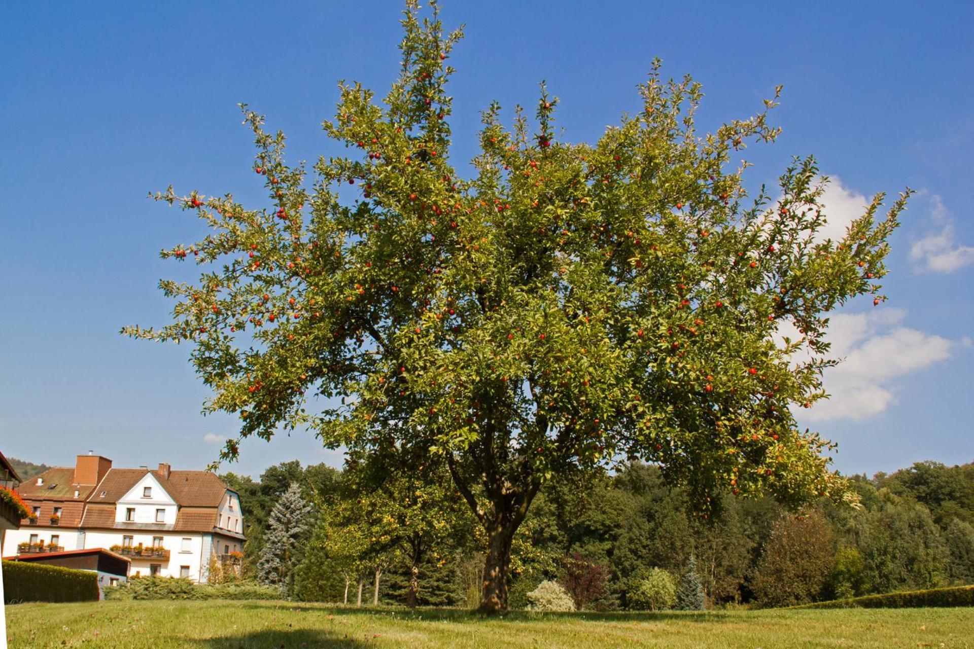 Hotel Jaegerhof Staatsbad Brückenau Esterno foto